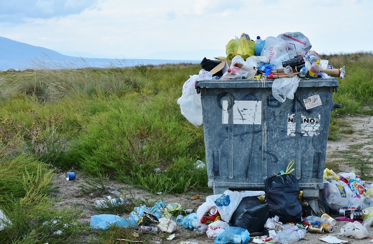 L'utilisation abusive des sacs plastiques comme nocif pour notre environnement.